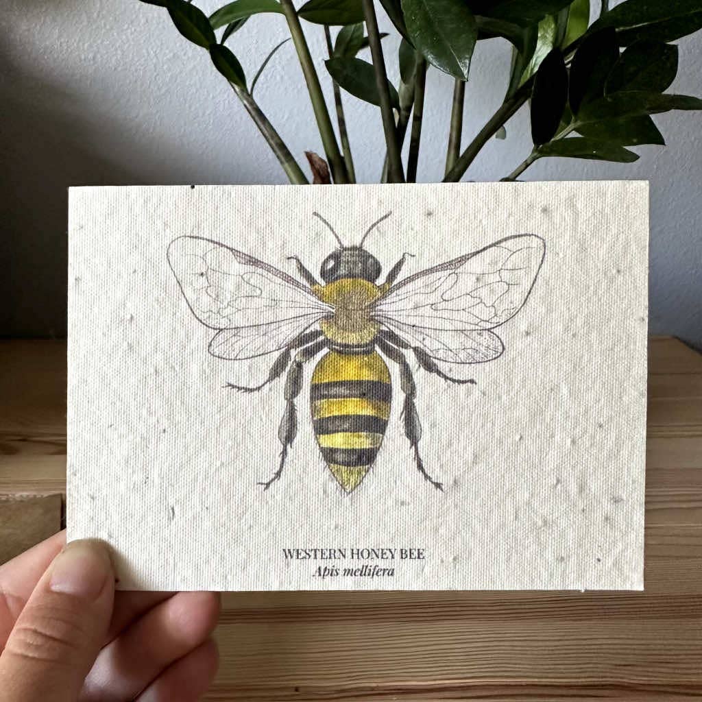 Western Honey Bee Plantable Wildflower Seed Greeting Card