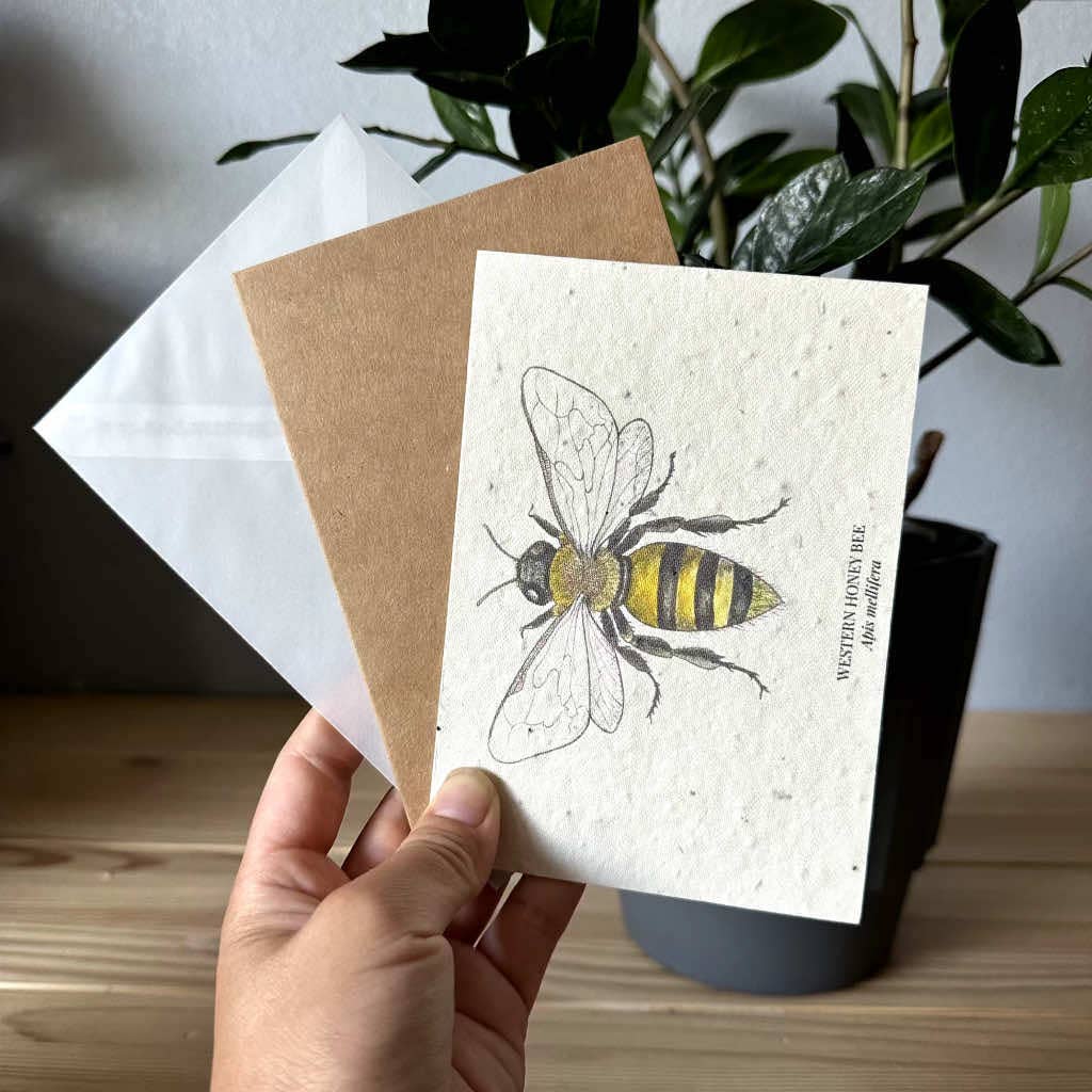 Western Honey Bee Plantable Wildflower Seed Greeting Card