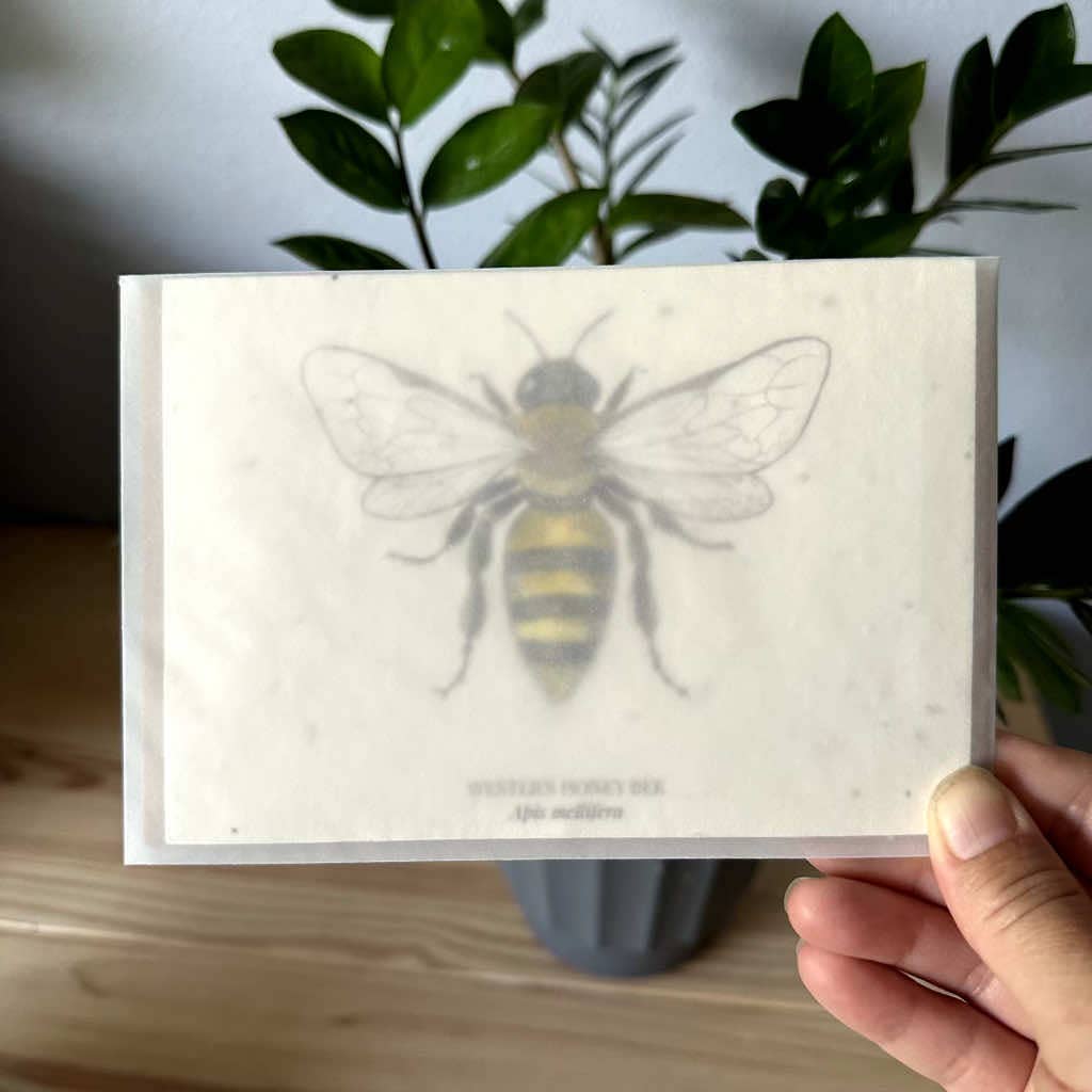 Western Honey Bee Plantable Wildflower Seed Greeting Card