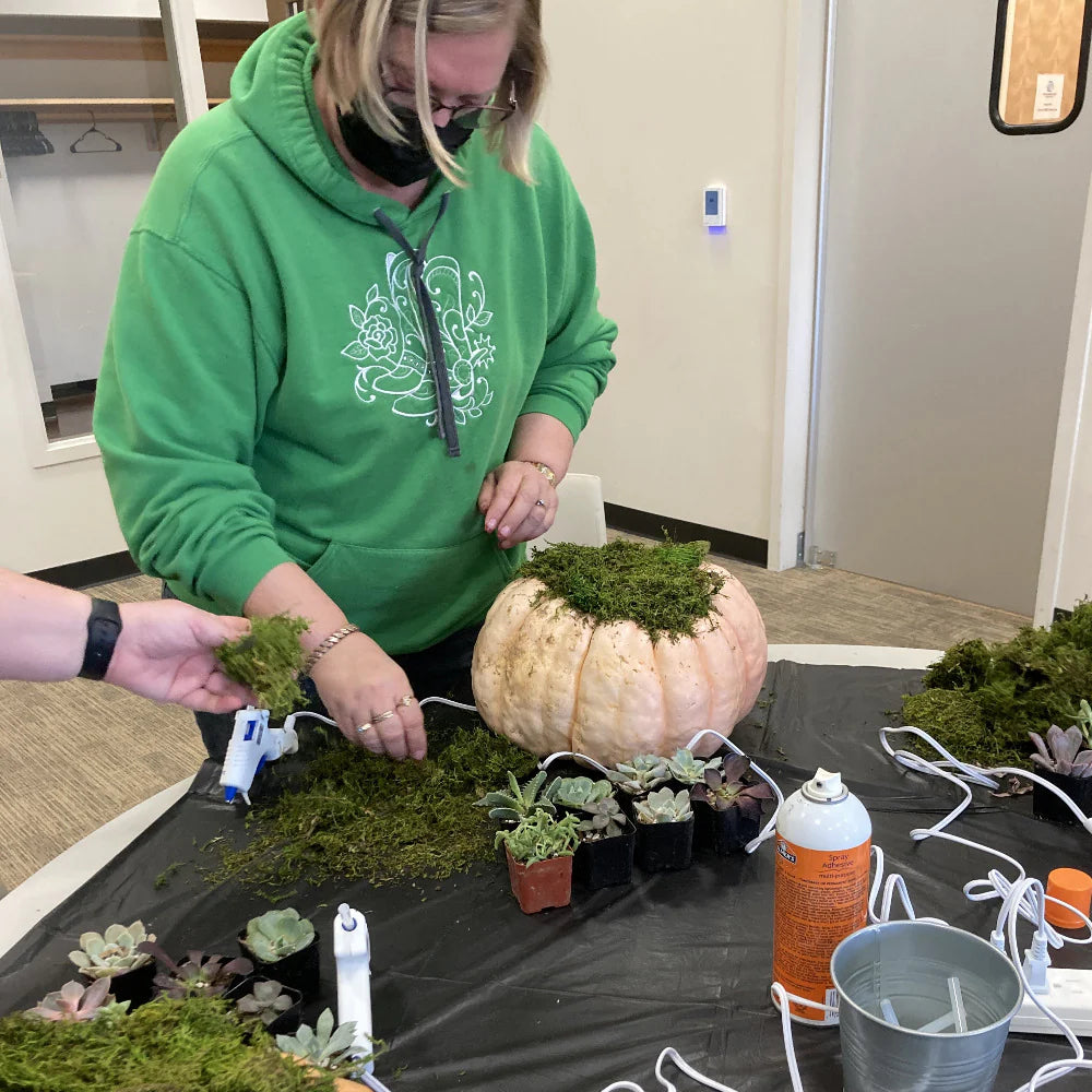 10/09 at 6pm: Pumpkin Succulent Workshop